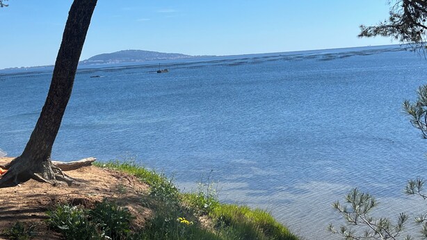 Vista costera con cielo despejado, mar en calma y tierra a lo lejos.