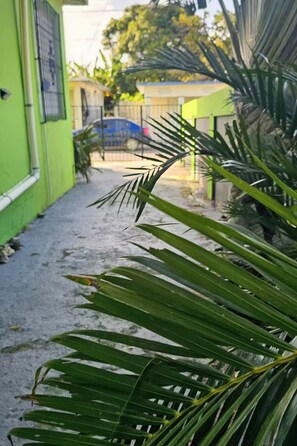Exterior detail - Central Vieques 2BR Walk to Ferry, Beach & Plaza (Vieques)