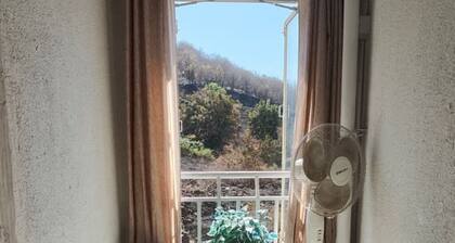 Fabulous 2-bedroom, couple friendly, hinjewadi, with AC in vibrant Pune