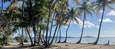 Playa