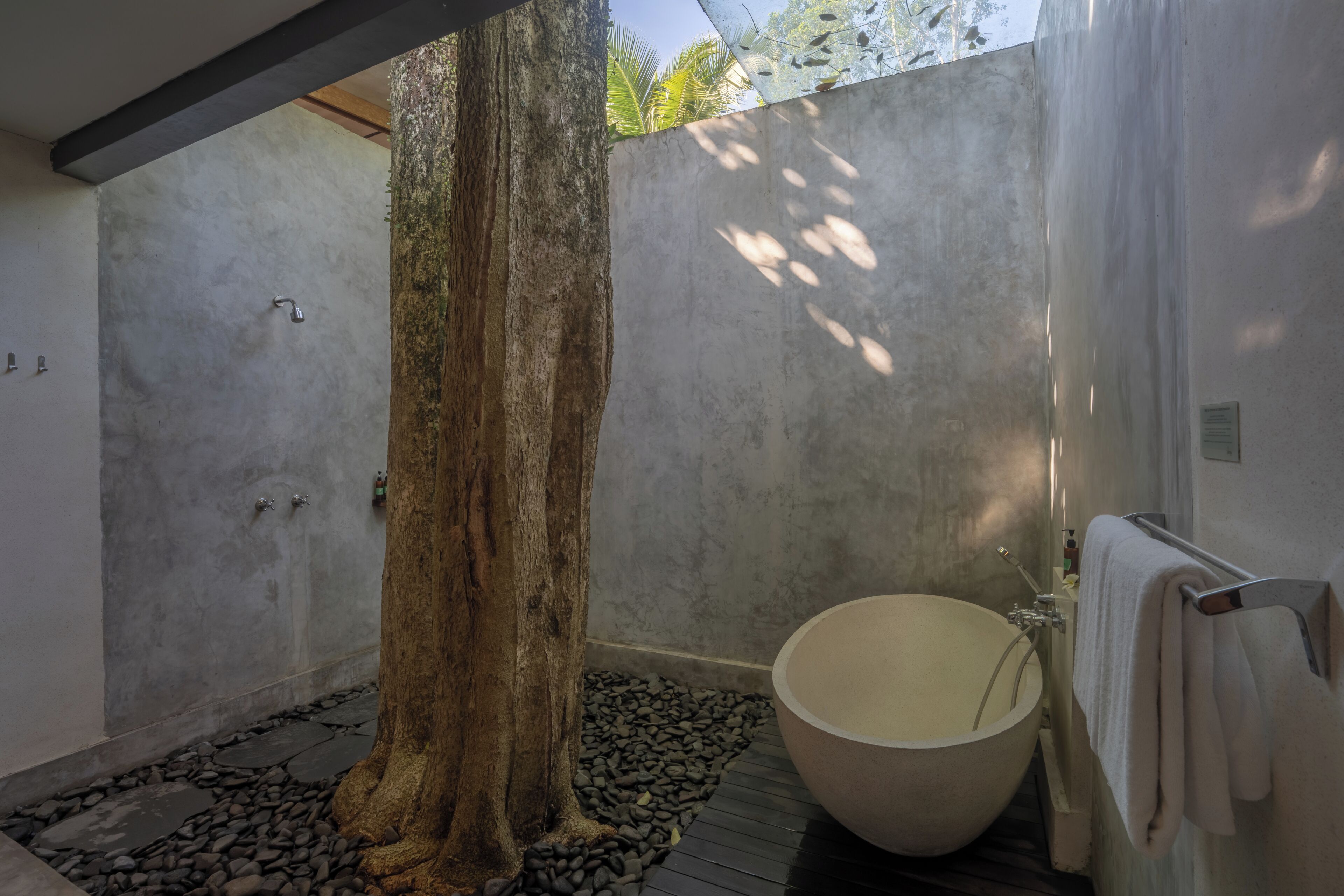A modern bathroom with a large tree trunk, a freestanding bathtub, and a concrete wall.
