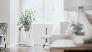 Un soggiorno moderno con un divano bianco, un tavolino e una pianta in vaso.