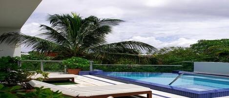 A swimming pool with lounge chairs and a palm tree.
