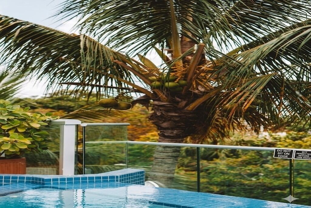 A swimming pool with a palm tree and a sign warning not to sit on the edge.