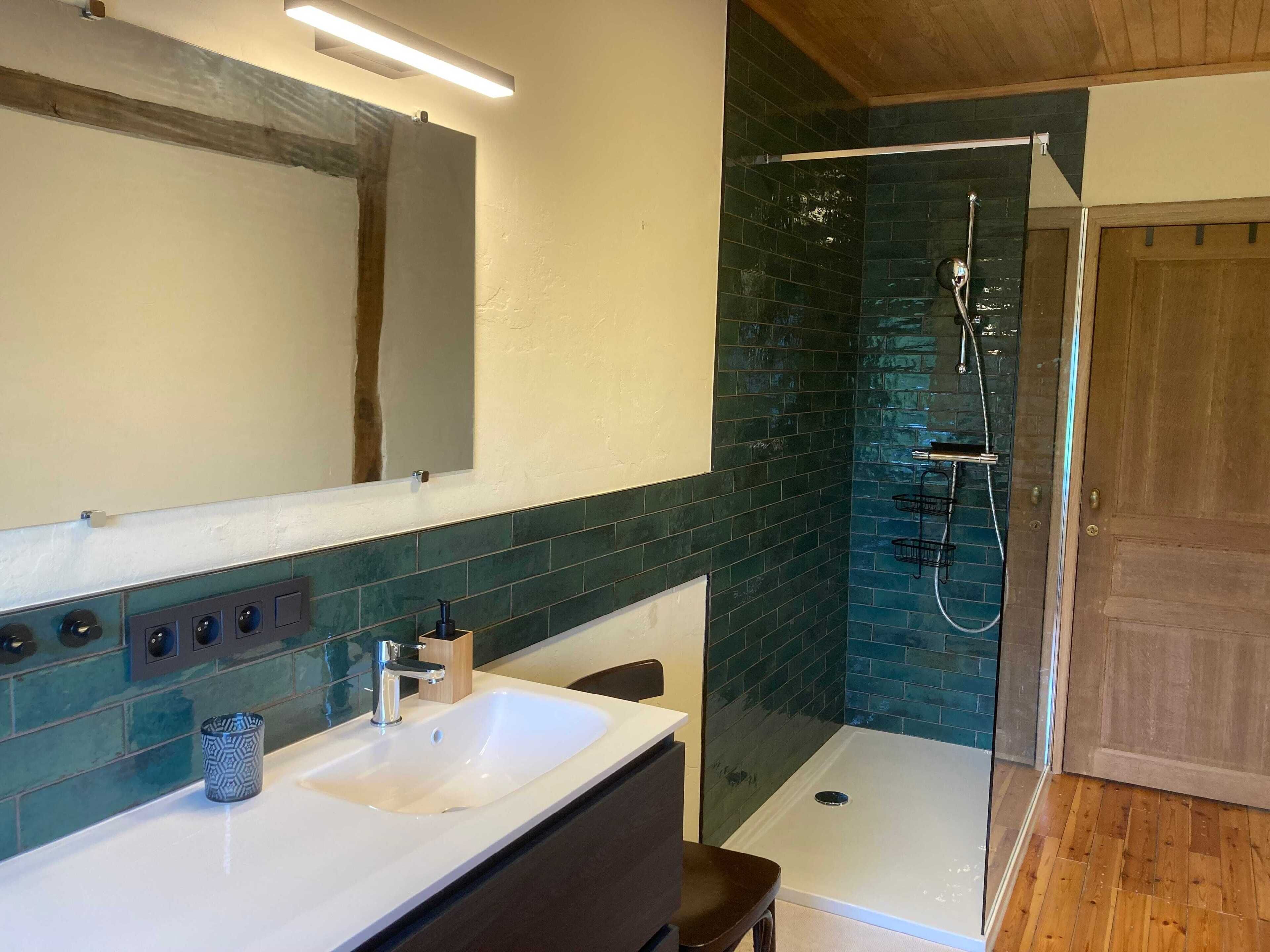 Shower, hair dryer, soap, toilet paper