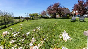A grassy lawn with a stone bench, a small tree with white flowers, and a house in the background.