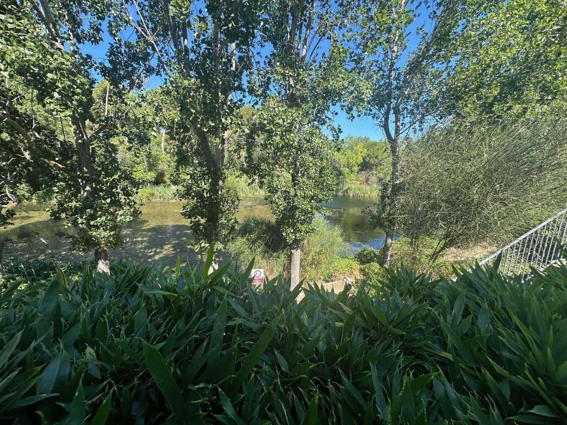 Parco della struttura