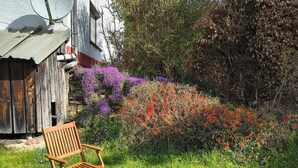 Ein Holzstuhl in einem Garten mit einem Haus, einer Satellitenschüssel und blühenden Pflanzen.