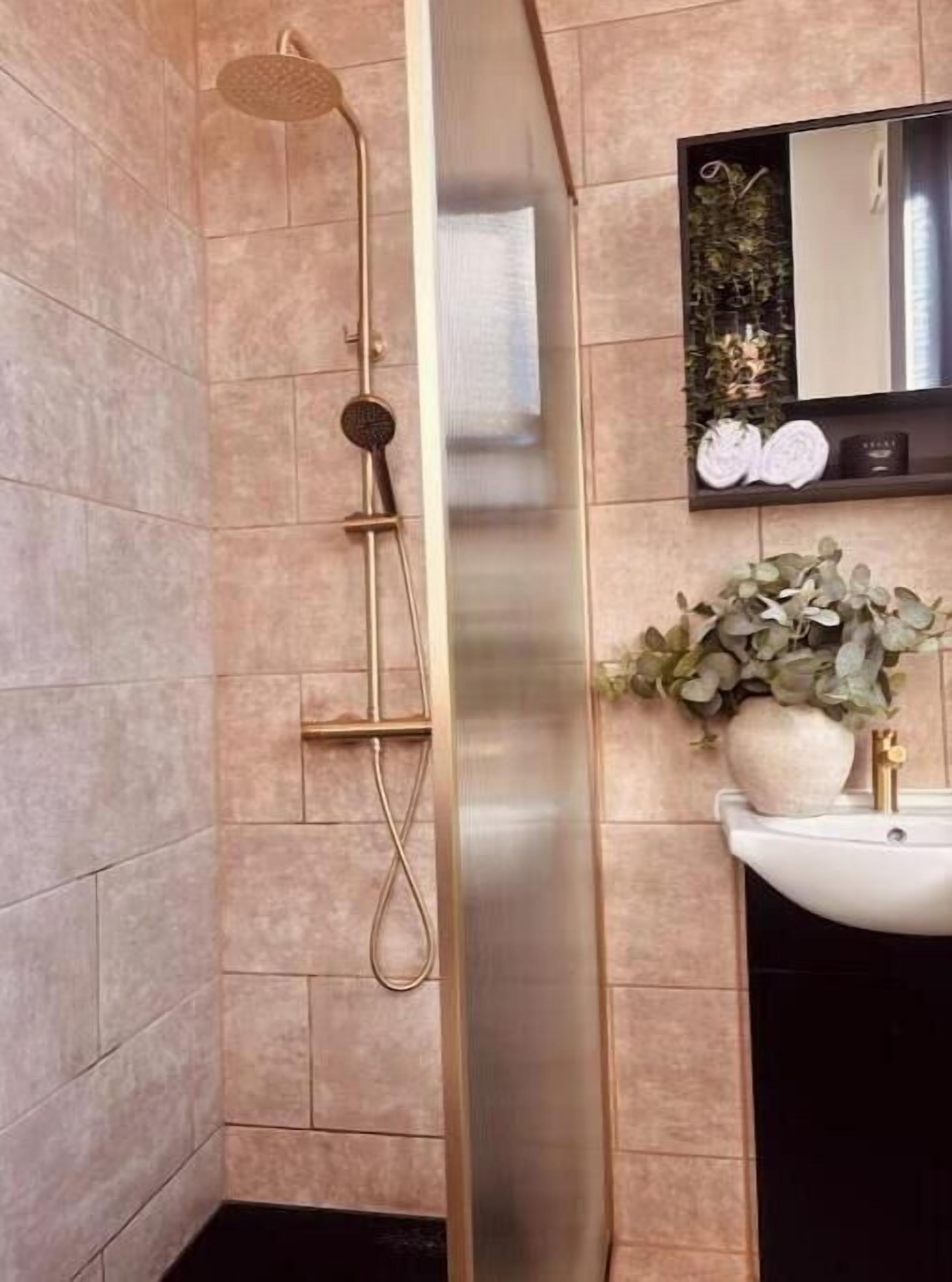 Shower, hair dryer, soap