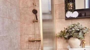 Shower, hair dryer, soap