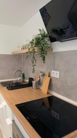A modern kitchen with a black induction cooktop, wooden countertop, stainless steel sink, hanging plants, and a built-in oven. - Mazet Noa - Quiet terrace & pool (Le Rouret)