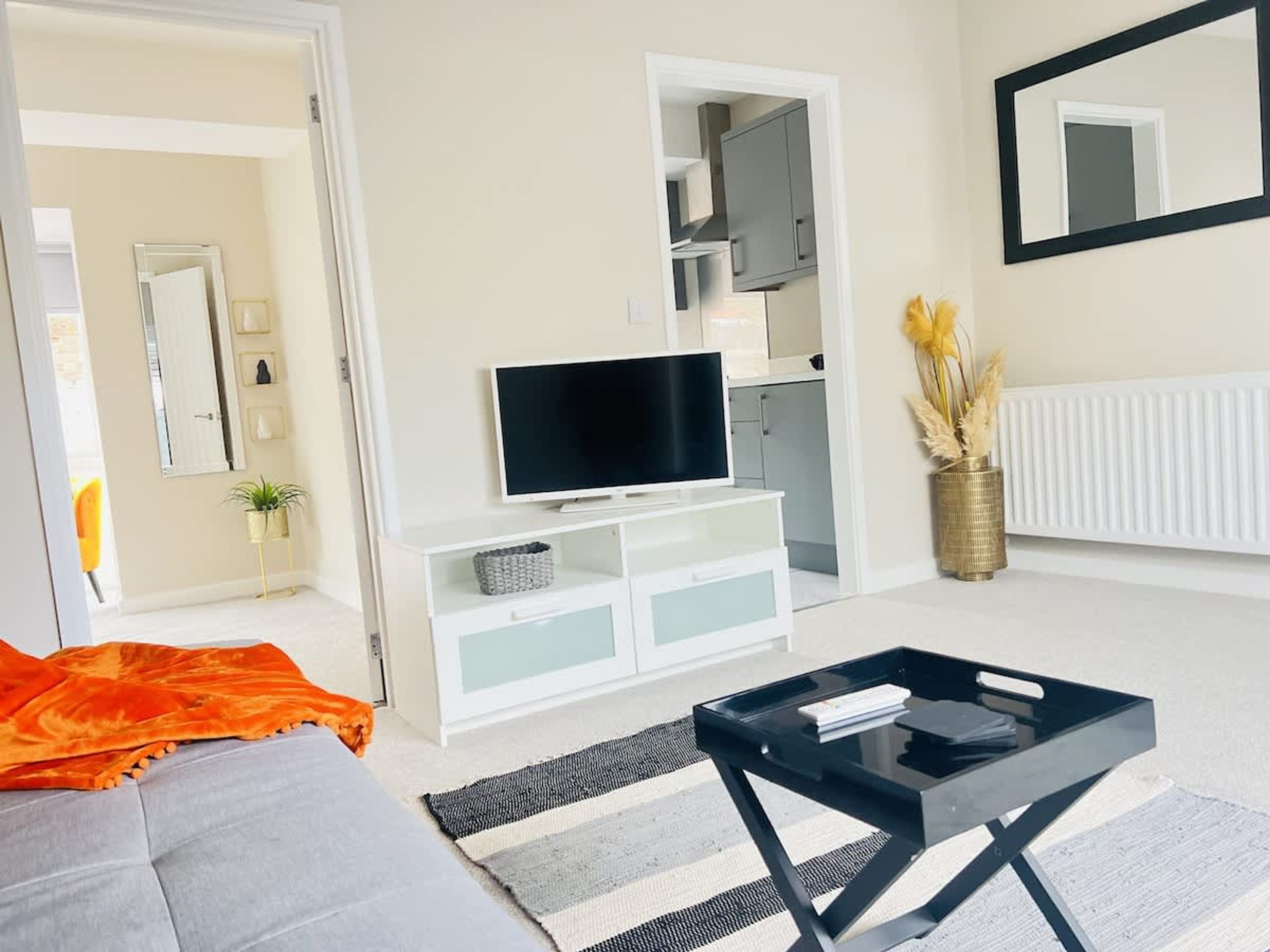 A living room with a sofa, a TV on a stand, a coffee table, a radiator, and a mirror on the wall.