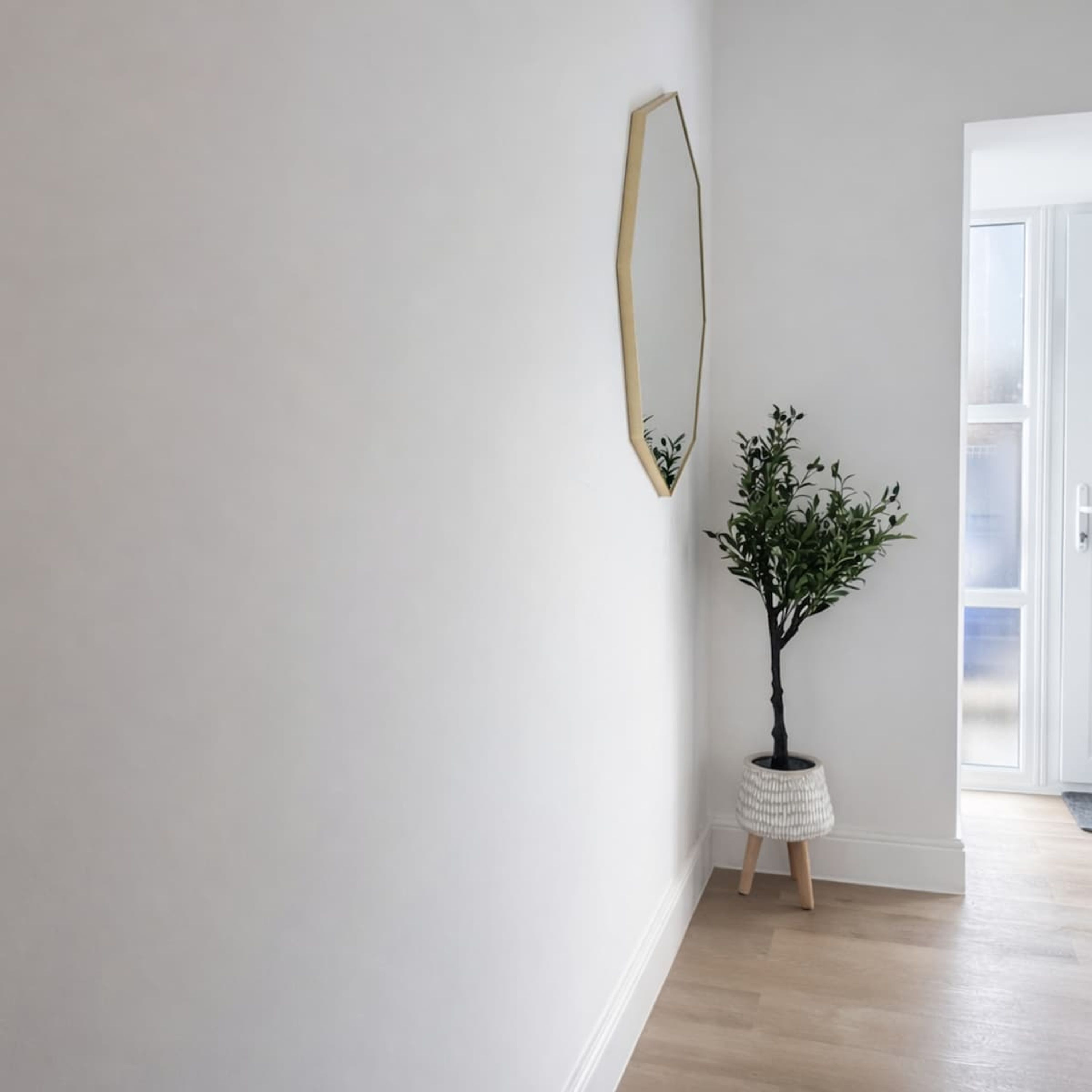 A hallway with a white wall, a wooden floor, a potted plant, and a door leading to another room.