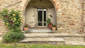 Uma entrada de pedra arqueada com porta de vidro, plantas em vasos e um pequeno degrau que leva à porta.