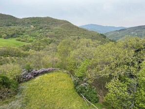 Miscellaneous - Vrbo Property (Pelago)