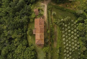 Aerial view - Vrbo Property (Pelago)