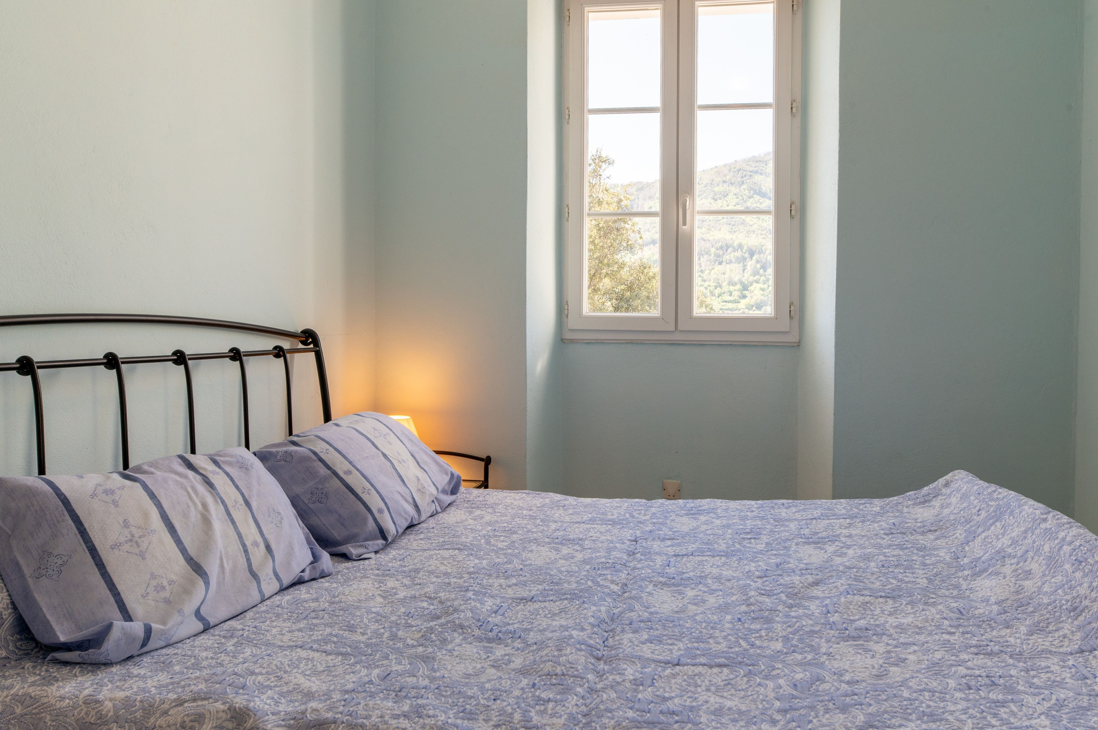A bed with a patterned bedspread and pillows, a bedside lamp, and a window with a view of trees.
