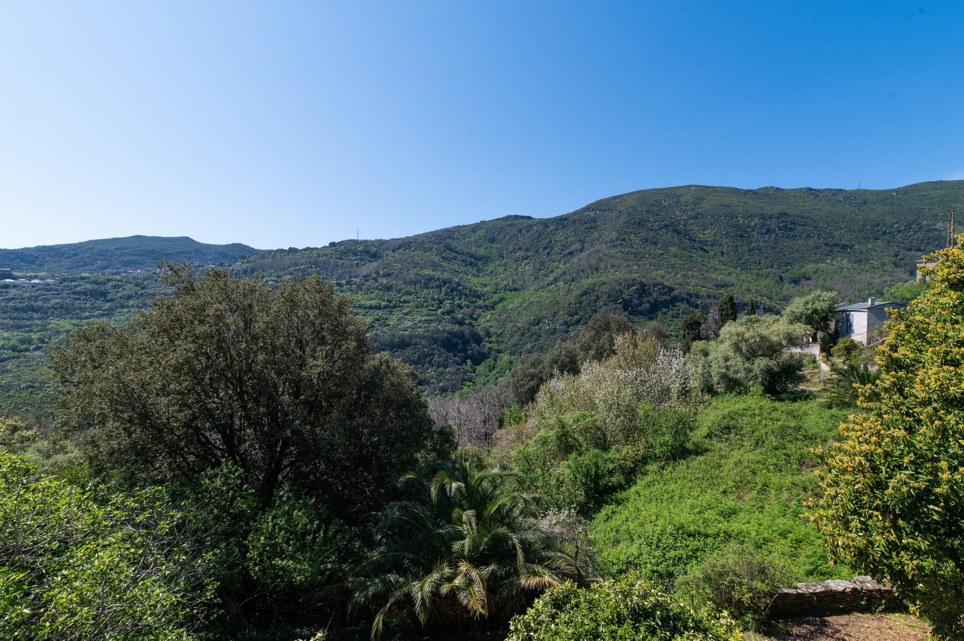 A mountainous landscape with dense greenery and a small building on a hillside.