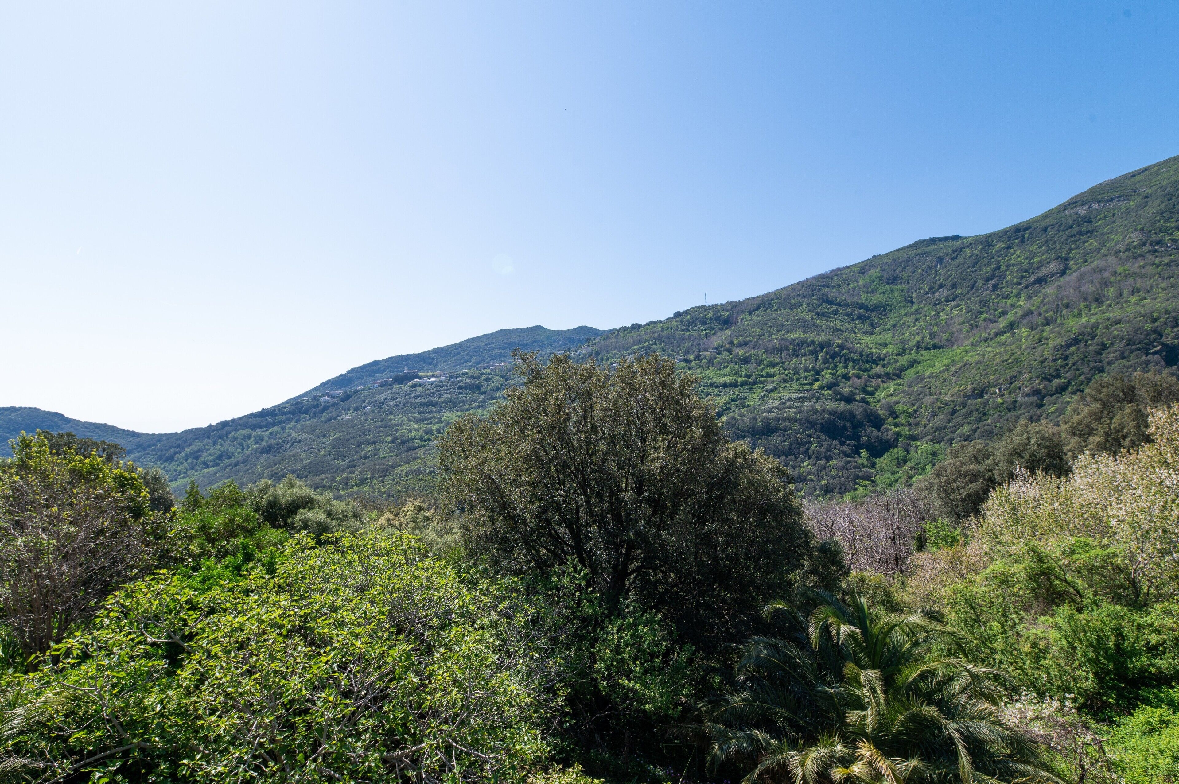 A mountainous landscape with dense vegetation and a clear sky.