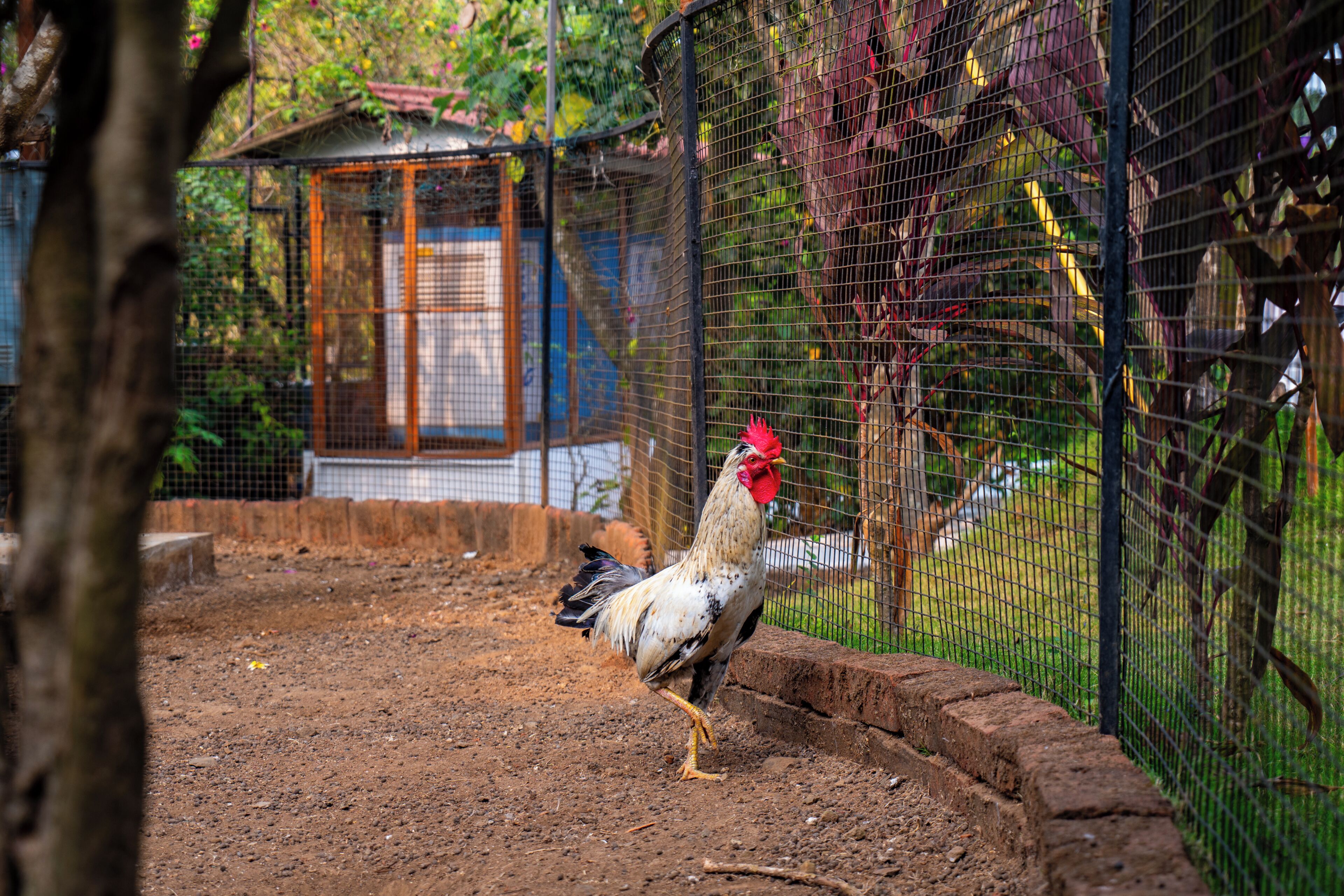 Enceinte de l’hébergement