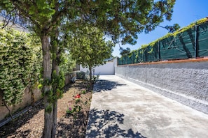 Un chemin en béton bordé d’un mur recouvert de plantes grimpantes et d’un arbre dont les branches projettent des ombres.