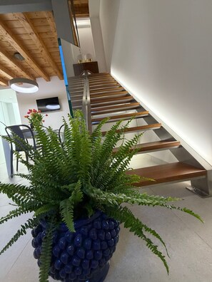 Interior - WOMAN DINA. (AVOLA)