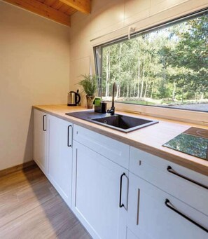 Fridge, stovetop, coffee/tea maker, electric kettle - Domek Skandynawski - Leno Tu (Tuchomie)
