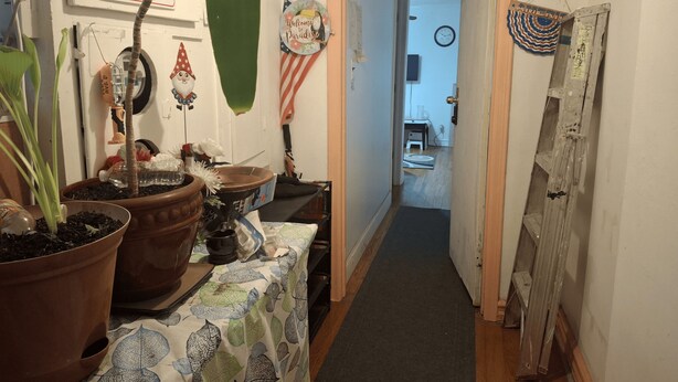A hallway with a table of potted plants, a 'Welcome to Paradise' sign, a 'No Smoking' sign, and a '1st Floor' sign. - Tranquil 1-bedroom apartment share with AC in vibrant Brooklyn Near B8 Bus Stop (Brooklyn)