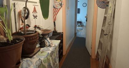 Tranquil 1-bedroom apartment share with AC in vibrant Brooklyn Near B8 Bus Stop