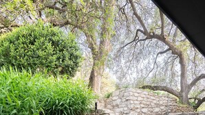 A stone staircase leading up to a stone wall, surrounded by greenery and trees. - Travis Heights Gem! Walk to Lady Bird Lake & SoCo (Austin)