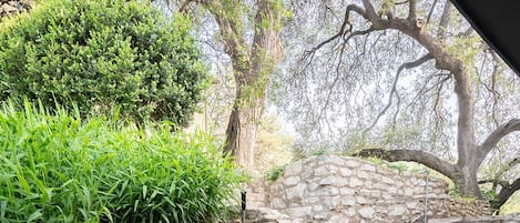 Terrain de lâhĂ©bergement