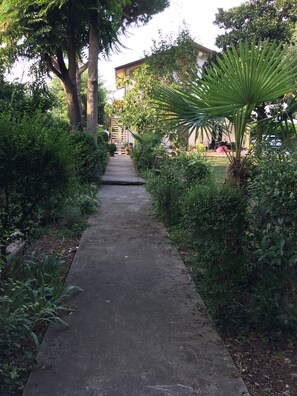 A pathway leading to a building with a balcony, surrounded by greenery and potted plants.
