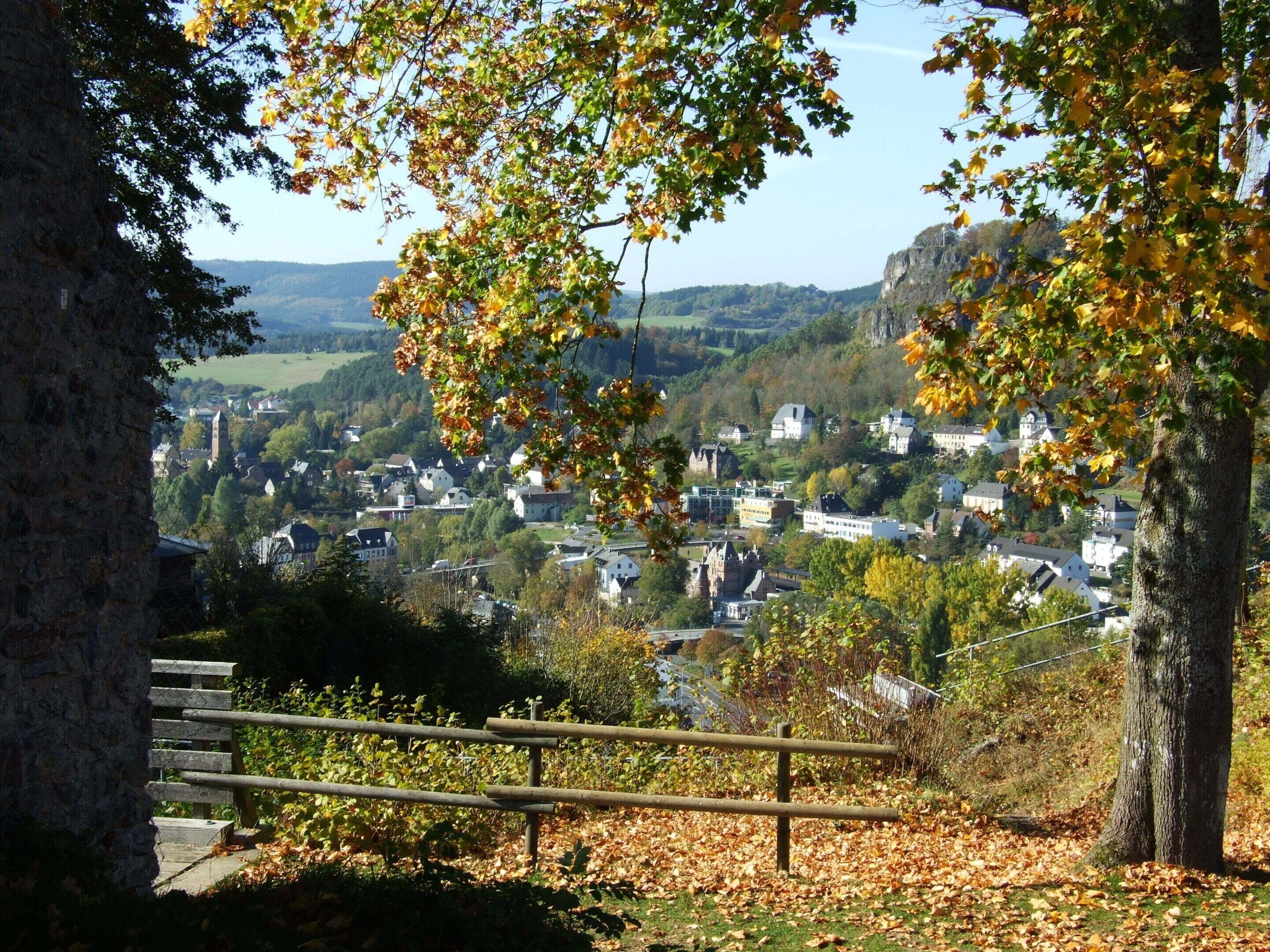 A town with buildings, a stone wall, and a wooden fence.