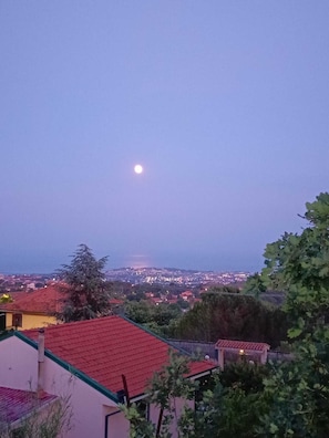 Ein Nachtblick auf eine Stadt mit Mond, Häusern mit roten Dächern und Grünflächen.