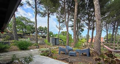 Etna Country Home! A relaxing retreat surrounded by nature