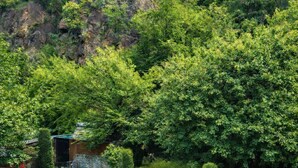 A garden with a stone wall, a red staircase, and a view of a mountain. - Heritage Rose Inn - Dal Lake (Srinagar)
