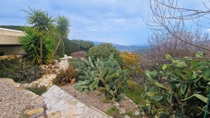 Un jardín con diversas plantas, un sendero de piedra y una vista de montañas lejanas.
