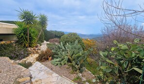 Ein Garten mit verschiedenen Pflanzen, einem Kiesweg und Blick auf ferne Berge.
