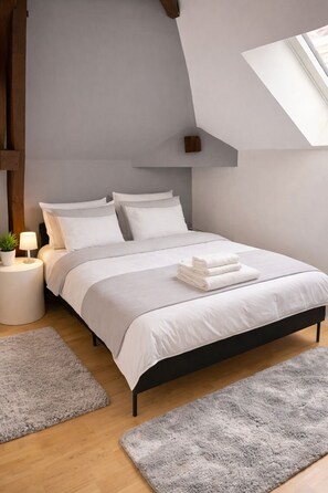 3 bedrooms, iron/ironing board, WiFi, bed sheets - Maison Duplex standing Centre ville Troyes Wi-Fi Netflix (Troyes)