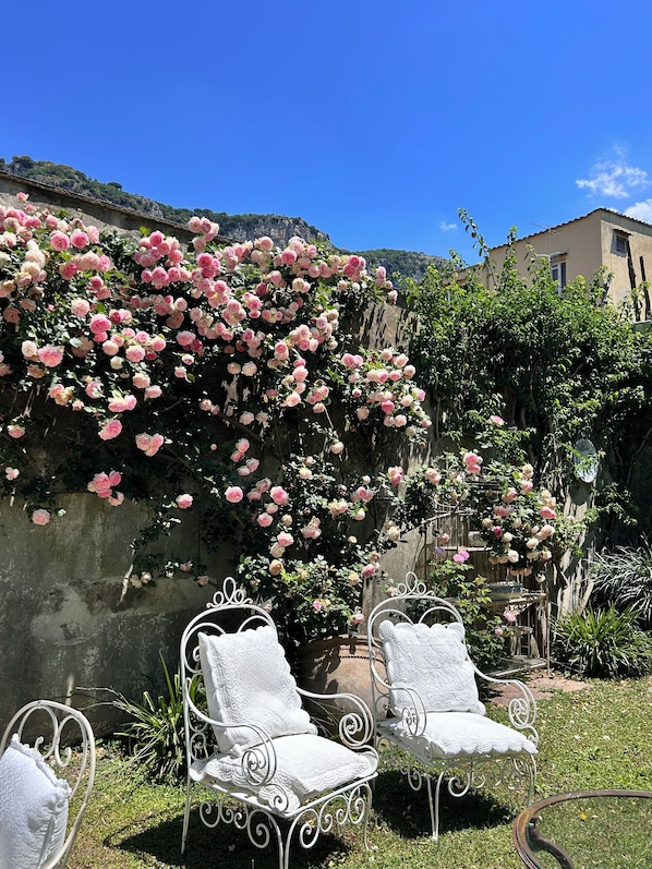 Un jardín con sillas de metal blanco y rosas rosadas.