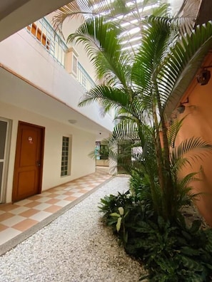 Un pasillo de hotel con suelo a cuadros, una puerta de madera y una palmera grande.