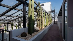 A rooftop garden with cacti and a glass walkway. - Chic Roma Norte Studio w/ Private Balcony (Mexico City)