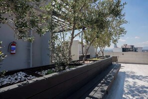 Property grounds - Roma Norte 3BR | Pool, Gym & Great Vibes (Ciudad de México)
