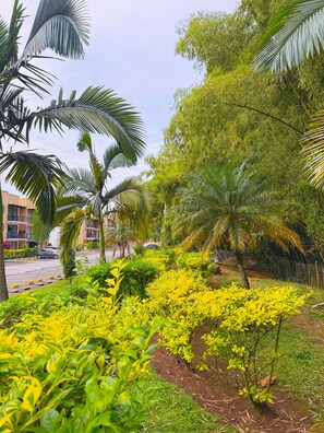 Property grounds - Comfortable apartment with air conditioning and fully furnished in La Tebaida (La Tebaida)