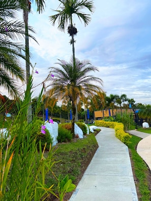 A pathway leading through a landscaped area with palm trees, white rocks, and various plants.