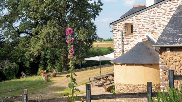 A stone building with a sloped roof, a wooden fence, and a tall flower in the foreground. - La Hulotte en Brocéliande - Yoga, seminars & group holidays 15 pers. (Saint-Malon-sur-Mel)