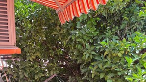 Un balcón con barandilla metálica, piso de baldosas y un toldo a rayas.
