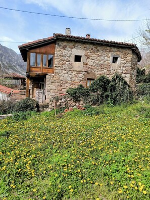 Exterior - Casa La Parra, Asturian tradition and wild environment. (Pigüeña)