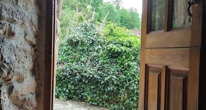Casa La Parra, Asturian tradition and wild environment.