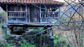 Um edifício rústico de madeira com telhado de telhas, uma varanda e uma escadaria de pedra que leva até ele.